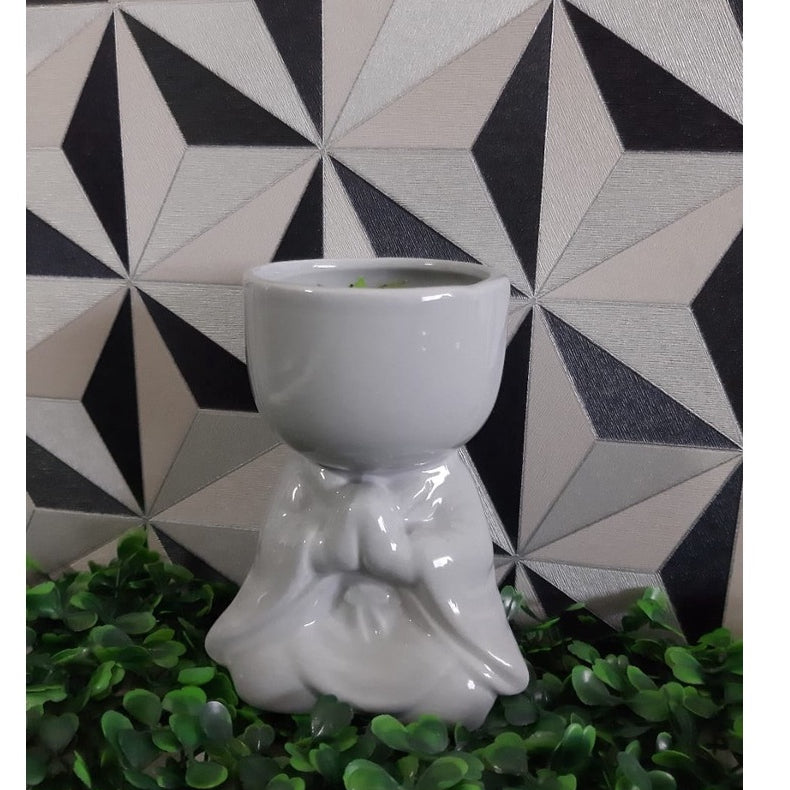 Vaso de Porcelana Para Planta Suculenta, Decoração Requintado Para Casa e Escritório, Ótima Opção Para Presentear