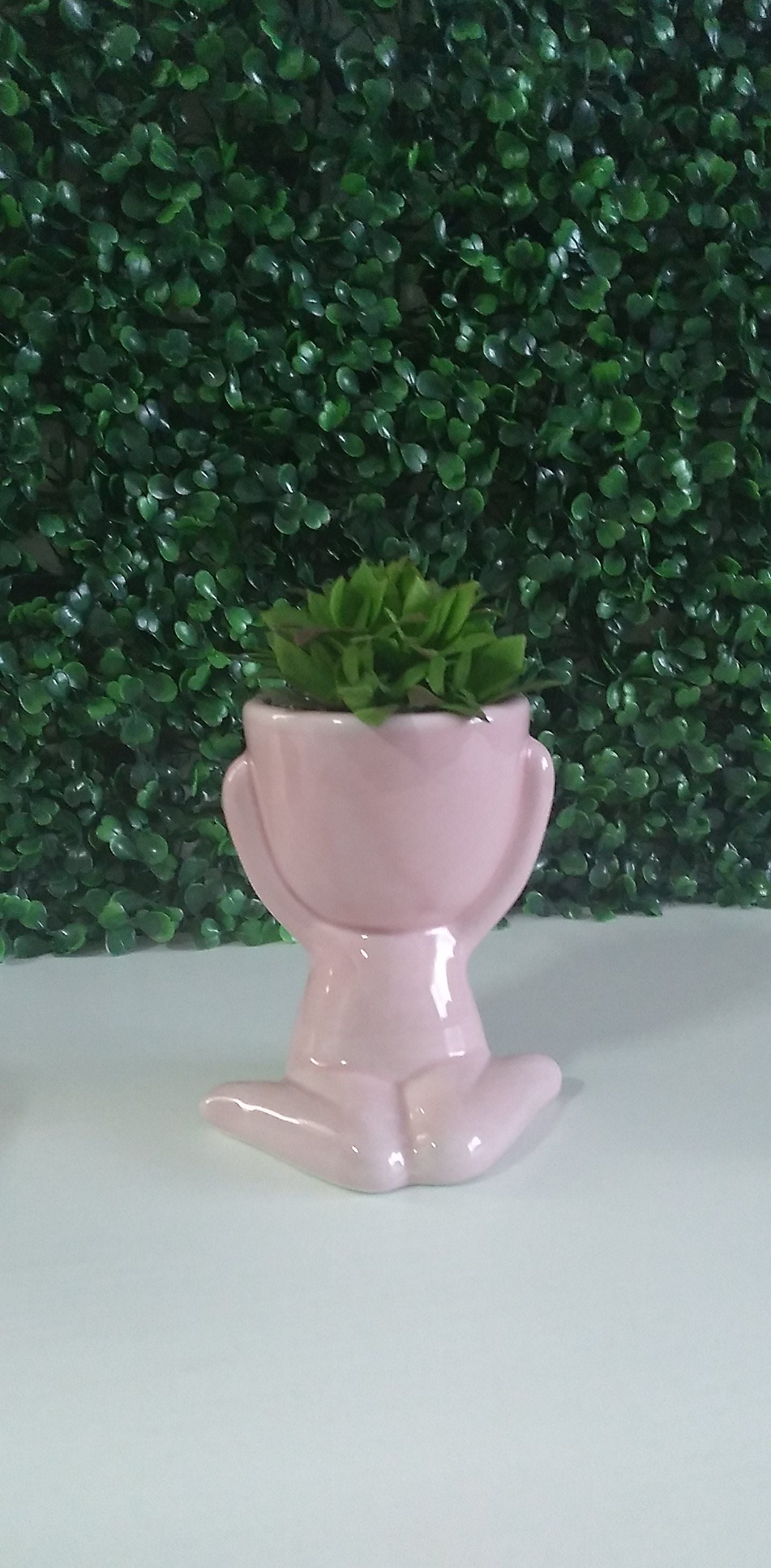 KIt de 2 Vasos em Porcelana Para Planta 11,3x10cm Decoração de Casa